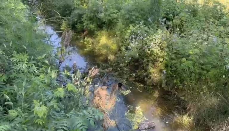 ਤਰਨ ਤਾਰਨ ’ਚ ਕਿਸਾਨਾਂ ਲਈ ਮੁਸੀਬਤ ਬਣਿਆ ਨਹਿਰੀ ਪਾਣੀ/ ਸਮੇਂ ਤੋਂ ਪਹਿਲਾਂ ਛੱਡੇ ਪਾਣੀ ਨਾਲ ਕਣਕ ਦੀ ਪੱਕੀ ਫ਼ਸਲ ਬਰਬਾਦ/ ਕਿਸਾਨਾਂ ਨੇ ਨਹਿਰੀ ਵਿਭਾਗ ਖਿਲਾਫ਼ ਸੰਘਰਸ਼ ਦੀ ਦਿੱਤੀ ਚਿਤਾਵਨੀ