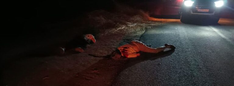 ਮਲੋਟ ਦੇ ਅਬੁੱਲਖੁਰਾਣਾ ’ਚ ਪਿਉ-ਪੁੱਤਰ ਦਾ ਬੇਰਹਿਮੀ ਨਾਲ ਕਤਲ/ ਅਣਪਛਾਤਿਆਂ ਨੇ ਗੋਲੀਆਂ ਚਲਾ ਕੇ ਉਤਾਰਿਆ ਮੌਤ ਦੇ ਘਾਟ/ ਖੂਨ ਨਾਲ ਲੱਥਪੱਥ ਮਿਲਿਆਂ ਲਾਸ਼ਾਂ, ਪੁਲਿਸ ਕਰ ਰਹੀ ਜਾਂਚ