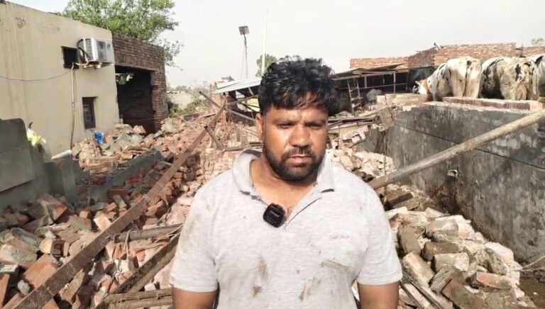 ਸੰਗਰੂਰ ’ਚ ਕਿਸਾਨ ਪਰਿਵਾਰ ਲਈ ਕਹਿਰ ਬਣੀ ਤੇਜ਼ ਹਨੇਰੀ/ ਤੇਜ਼ ਹਨੇਰੀ ਦੀ ਭੇਂਟ ਚੜ੍ਹਿਆ ਪਸ਼ੂਆਂ ਦੇ ਉਪਰ ਪਾਇਆ ਸ਼ੈਡ/ ਲੱਖਾਂ ਦੇ ਨੁਕਸਾਨ ਦਾ ਖਦਸ਼ਾ, ਸਰਕਾਰ ਅੱਗੇ ਮਦਦ ਲਈ ਗੁਹਾਰ