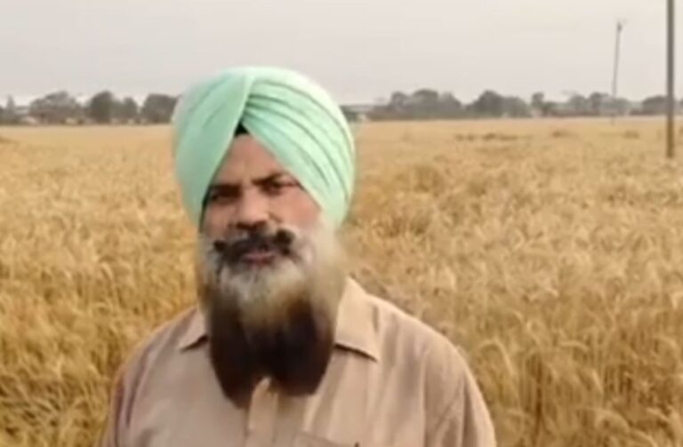 ਨਾਭਾ ’ਚ ਤੇਜ਼ ਮੀਂਹ ਗੜ੍ਹੇਮਾਰੀ ਨੇ ਵਧਾਈ ਕਿਸਾਨਾਂ ਦੀ ਚਿੰਤਾ/  ਮੀਂਹ ਕਾਰਨ ਡਿੱਗਿਆ ਪਾਰਾ, ਲੋਕਾਂ ਨੇ ਮਿਲੀ ਗਰਮੀ ਰਾਹਤ/ ਜ਼ਿਆਦਾ ਮੀਂਹ ਕਾਰਨ ਕਣਕ ਦੀ ਵੱਢਾਈ ਪੱਛੜਣ ਦਾ ਖਦਸ਼ਾ