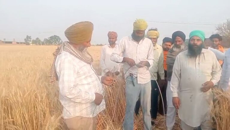 ਲੁਧਿਆਣਾ ਦੇ ਪਿੰਡ ਸਭਰਾ ’ਚ ਕਰੰਟ ਲੱਗਣ ਕਾਰਨ ਹੋਈ ਮੌਤ/ ਹਨੇਰੀ ਕਾਰਨ ਟੁੱਟੀ ਬਿਜਲੀ ਦੀ ਤਾਰ ਕਾਰਨ ਵਾਪਰਿਆ ਹਾਦਸਾ/ ਪਰਿਵਾਰ ਨੇ ਬਿਜਲੀ ਮਹਿਕਮੇ ਤੇ ਲਾਏ ਅਣਗਹਿਲੀ ਦੇ ਇਲਜ਼ਾਮ