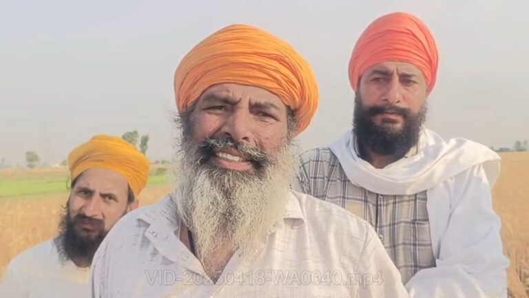 ਤਰਨ ਤਾਰਨ ਦੇ ਪਿੰਡ ਘਰਿਆਲੀ ਦਾਸੂਵਾਲ ’ਚ ਗੜ੍ਹੇਮਾਰੀ ਦਾ ਕਹਿਰ/ ਮਿੰਟਾਂ ’ਚ ਬਰਬਾਦ ਕੀਤੀ ਕਿਸਾਨਾਂ ਦਾ ਪੁੱਤਾਂ ਵਾਂਗ ਪਾਲੀ ਕਣਕ ਦੀ ਫਸਲ/ ਚੰਦ ਮਿੰਟਾਂ ਹੀ 500 ਏਕੜ ਦੇ ਕਰੀਬ ਫਸਲਾਂ ਦਾ ਹੋਇਆ ਭਾਰੀ ਨੁਕਸਾਨ