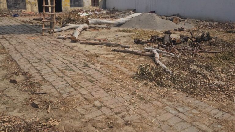 ਤਰਨ ਤਾਰਨ ਦੇ ਪਿੰਡ ਦੁਲਚੀਪੁਰ ਦੇ ਸਕੂਲ ’ਚੋਂ ਰੁੱਖ ਵੇਚਣ ਦਾ ਮਾਮਲਾ ਗਰਮਾਇਆ/ ਮੌਜੂਦ ਸਰਪੰਚ ਦੇ ਪਤੀ ਤੇ ਮੁੱਖ ਅਧਿਆਪਕ ਤੇ ਲੱਗੇ ਨਾਜਾਇਜ਼ ਕੱਟਾਈ ਦੇ ਇਲਜ਼ਾਮ/ ਪਿੰਡ ਵਾਸੀਆਂ ਨੇ ਦੋਵਾਂ ਖਿਲਾਫ਼ ਕਾਨੂੰਨੀ ਕਾਰਵਾਈ ਦੀ ਕੀਤੀ ਮੰਗ