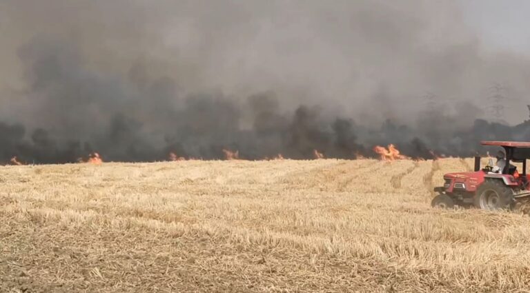 ਫਰੀਦਕੋਟ ਦੇ ਪਿੰਡ ਢਿੱਲਵਾਂ ਤੇ ਨੇੜਲੇ ਪਿੰਡਾਂ ’ਚ ਅੱਗ ਦਾ ਤਾਂਡਵ/ 20 ਤੋਂ 25 ਕਿੱਲੋਮੀਟਰ ਦਾਇਰੇ ਅੰਦਰ ਮਚਾਇਆ ਕਹਿਰ/ ਸੜ ਕੇ ਸੁਆਹ ਹੋਈ 1500 ਤੋਂ 2000 ਏਕੜ ਕਣਕ ਦੀ ਫਸਲ